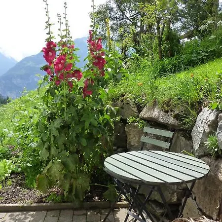Chalet Berkana 3* Hasliberg